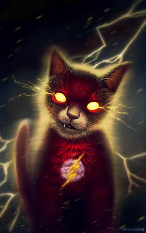 flash_cat_by_naionmikato-d6hsomb.jpg